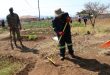 EXECUTIVE MAYOR LEADS MANDELA DAY OF SERVICE AT MAKURUNG MULTIPURPOSE CENTRE